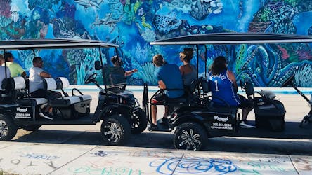 Wynwood graffiti golf cart tour